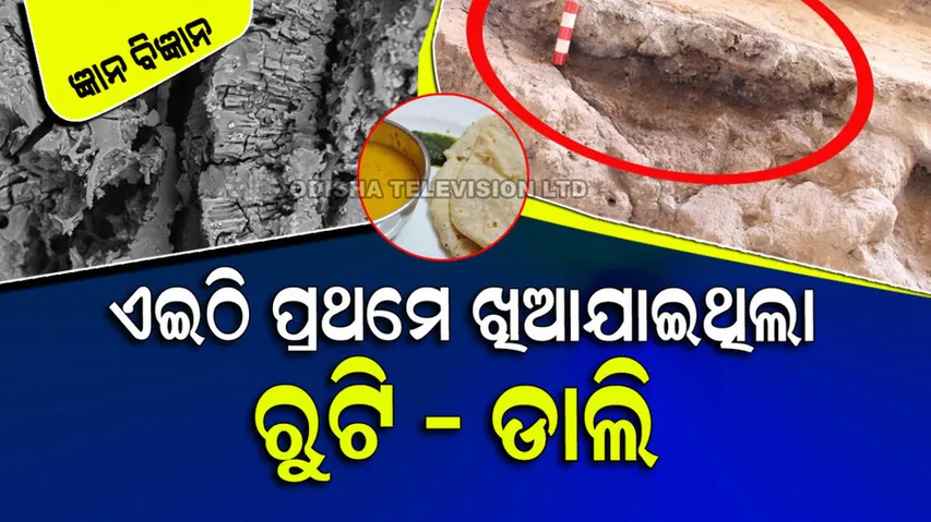 Worlds oldest vegetarian food found in Iraq cave