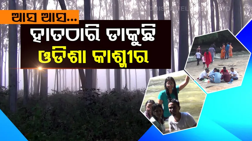 Special Story | Tourists throng Daringbadi as winter falls