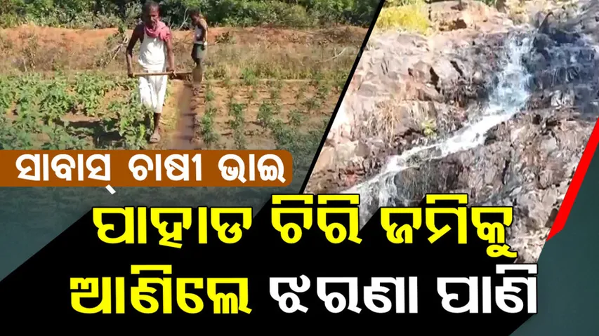 Nabarangapur Farmer Cut Mountain for Irrigation