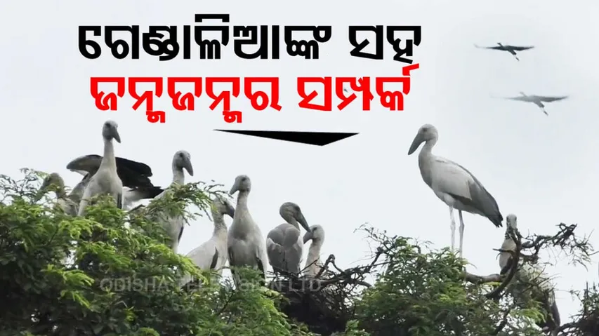 People of village in Patnagarh