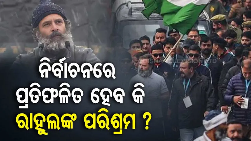 Bharat Jodo Yatra Benefits To Congress