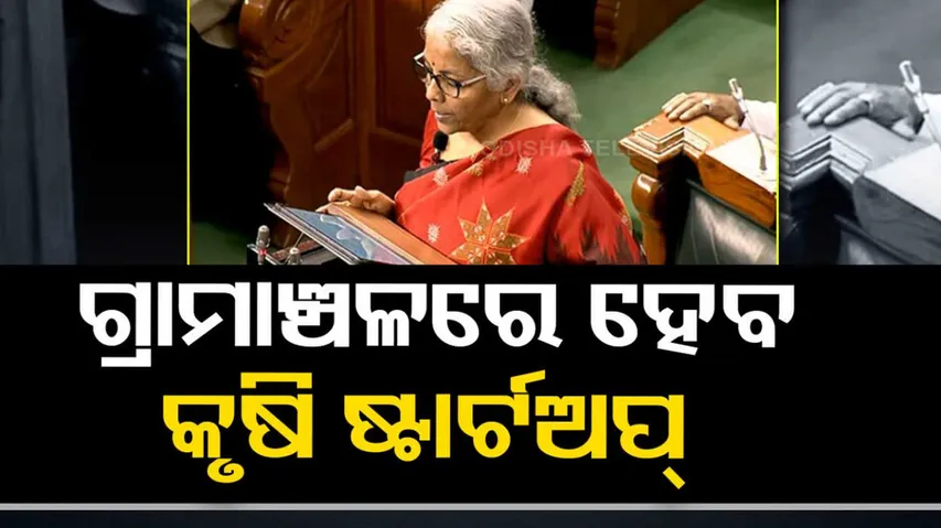 Budget 2023: Agriculture Accelerator Fund To Encourage Startups