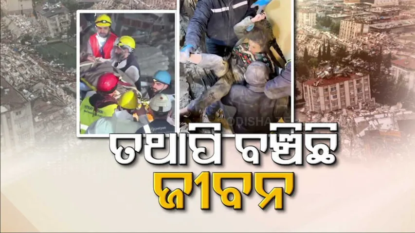 Turkey Earthquake Death Toll