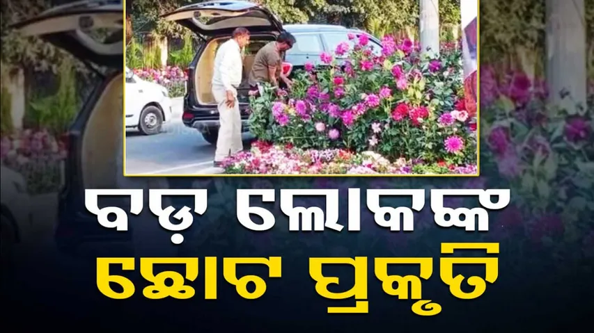 Gurgaon Men, In 'Luxury' Car, Stole Flowerpots Arranged For G20 Meet