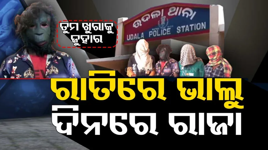 4 bear masked robbers