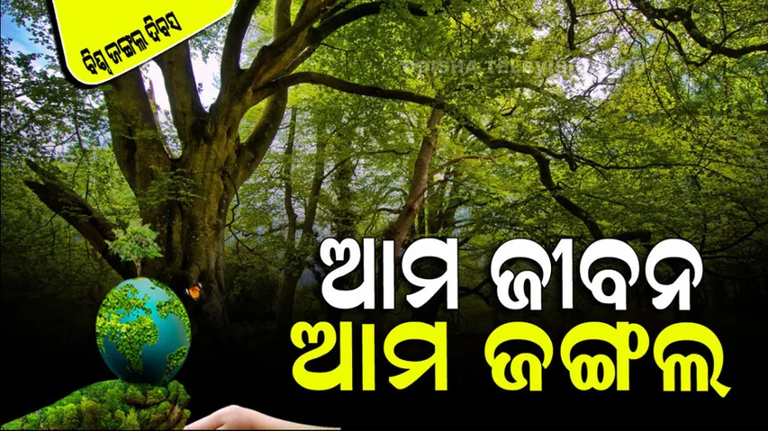 World Forestry Day 2023