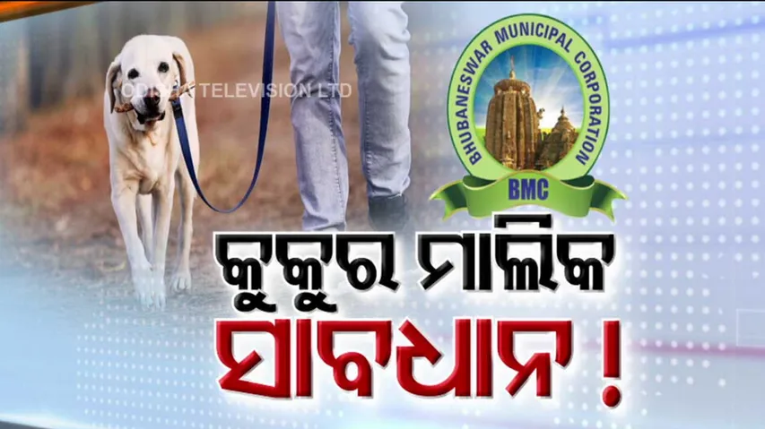 BMC Guidlines For Pet Dogs