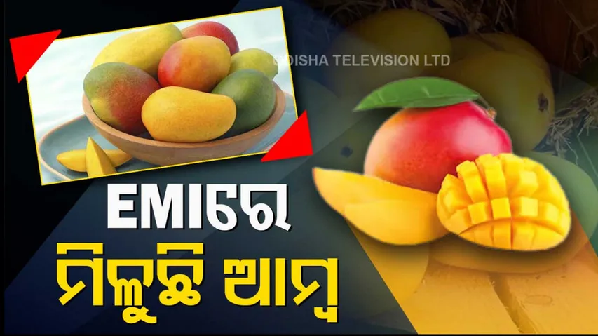 Alphonso Mango on EMI