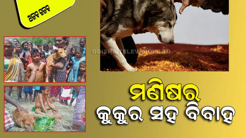 Marriage between man and dog