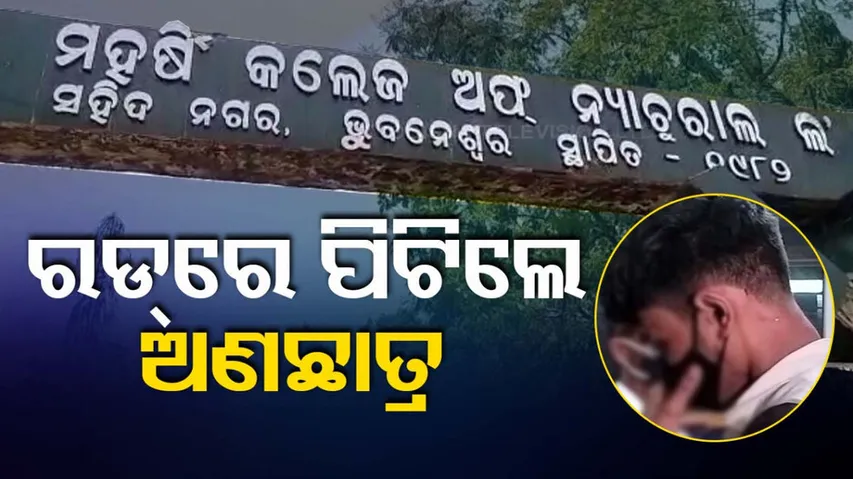 Violence On Maharishi College Campuses