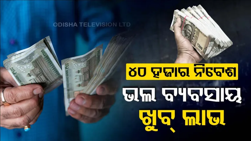 Business Idea In India: How To Start A Business