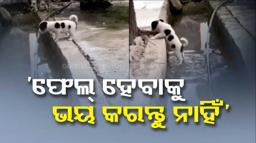 Social Media Viral Video