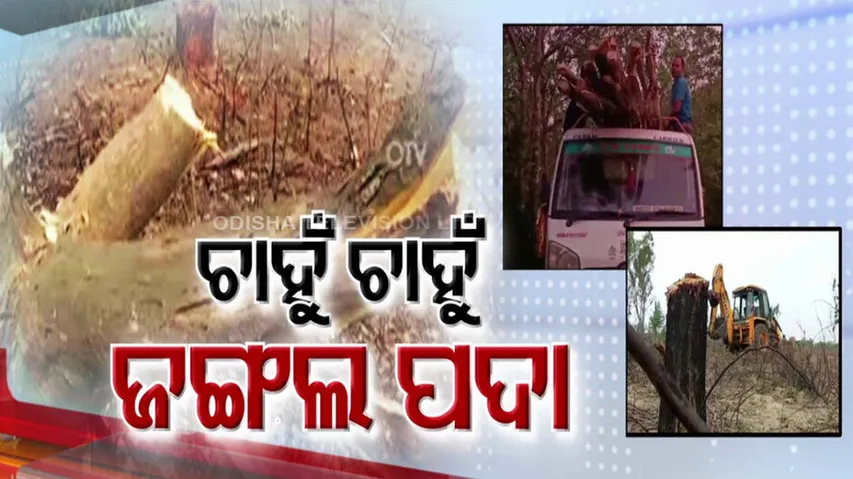 Khurdha Forest Range