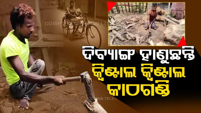 Two divyangs fight odds