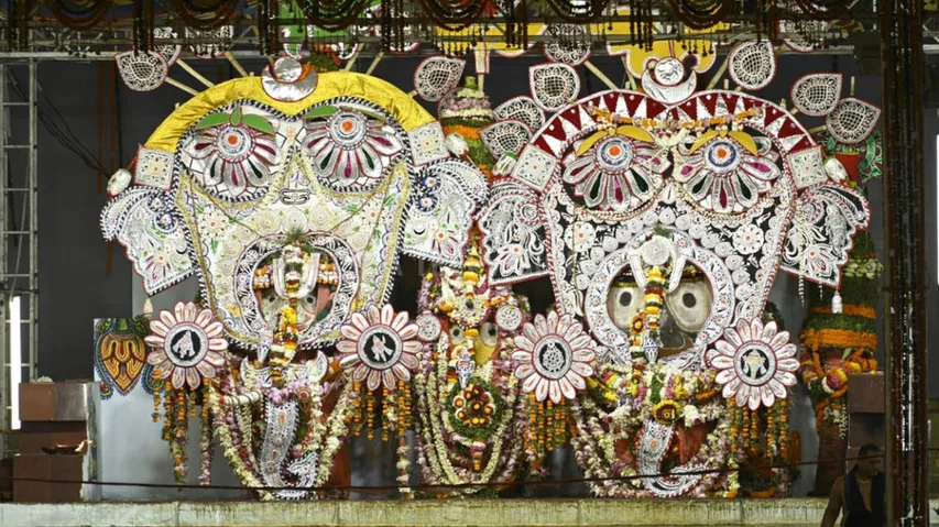 ଦୁର୍ଲଭ ହାତୀବେଶ