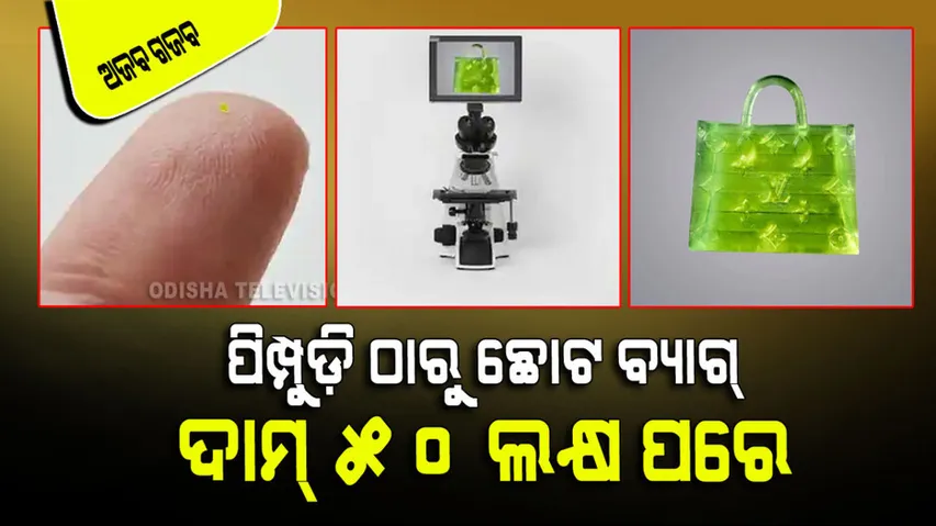 luxury Bag, Smaller Than Grain Of Salt, Sold For ₹ 51 Lakh