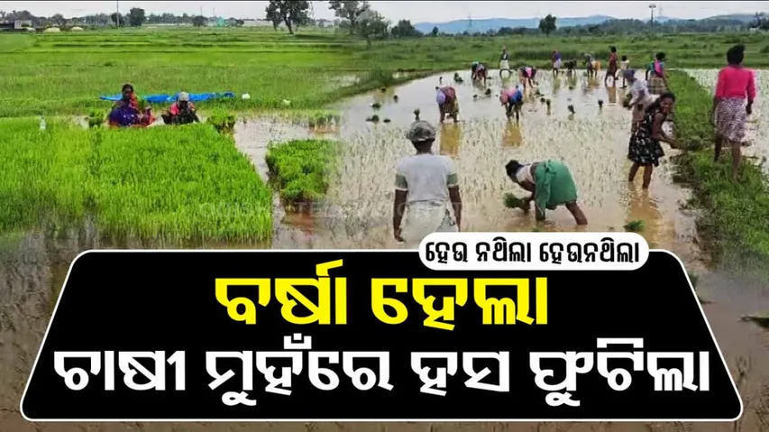Rain brings slight relief for farmers in Odisha’s Bonai