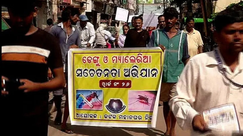 ମାଡୁଛି ଡେଙ୍ଗୁ : ଶୋଇଛି ସିଏମସି... ସହରରେ ଥିବା ନାଳରେ ପାଣି ନୁହେଁ କୁଢକୁଢ ମଇଳା ଭାସୁଛି