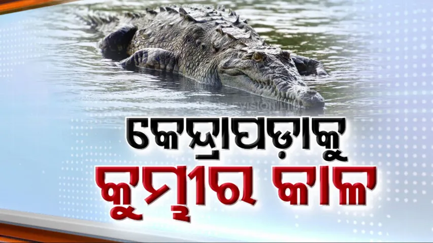 Crocodile fear grips villagers in Kendrapada
