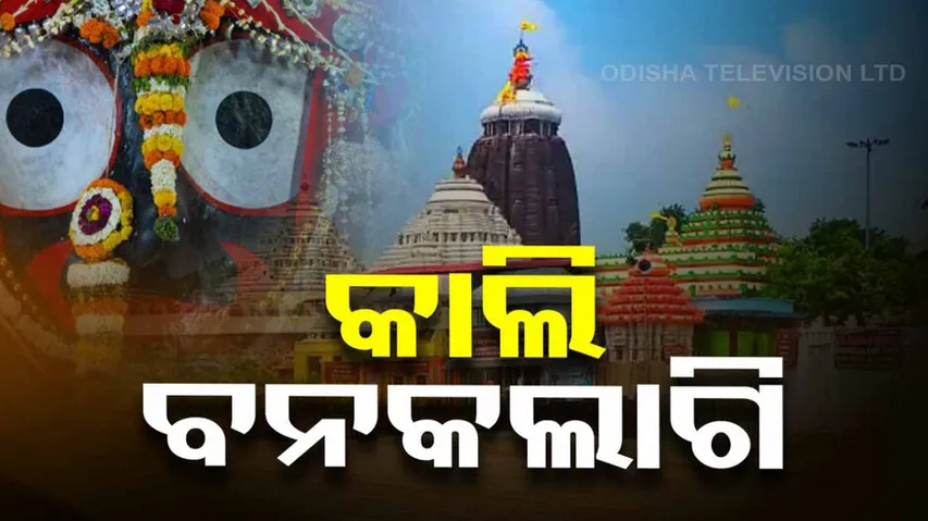 Lord Jagannath's special Ritual Banakalagi Niti