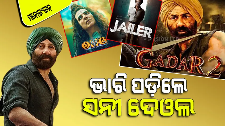 At box office sunny deol film mints 43.08 crores on day 2