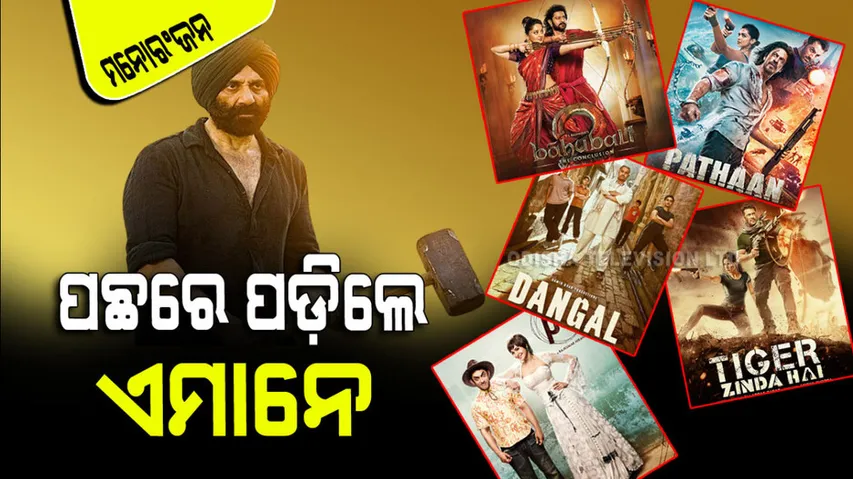 Gadar 2 Box Office Collection