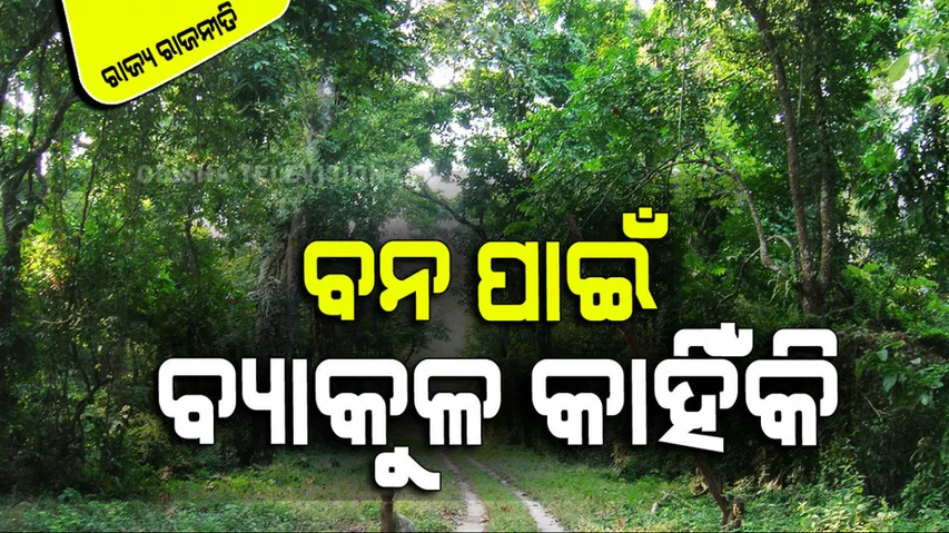 Why the political urgency for forests