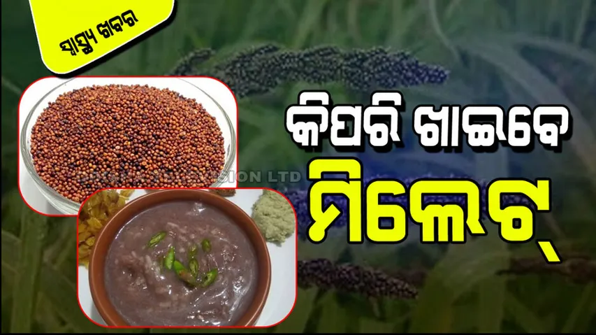 Millets turn panacea for diabetics