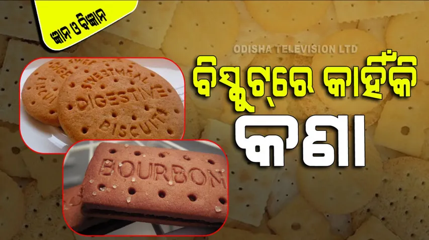 ବିସ୍କୁଟ୍‌ରେ କାହିଁକି ଥାଏ କଣା; ଡିଜାଇନ୍ ପାଇଁ ନା ରହିଛି କିଛି ବୈଜ୍ଞାନିକ କାରଣ