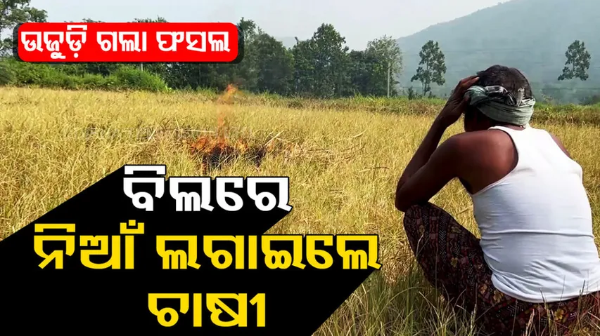 Farmer sets his own crop land on fire due to deficient rainfall  