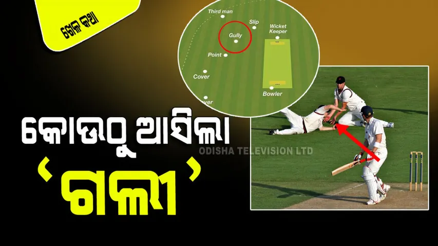 Knowledge what is gully cricket