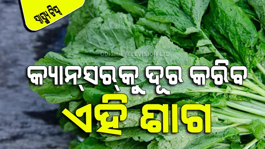 consume mustard leaf in winter beneficial in cancer and asthma