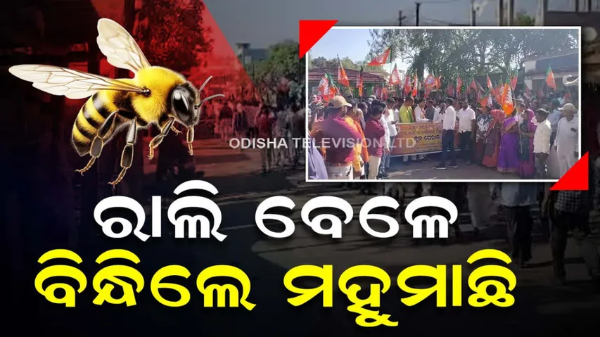 Bee Attack In BJP Rally