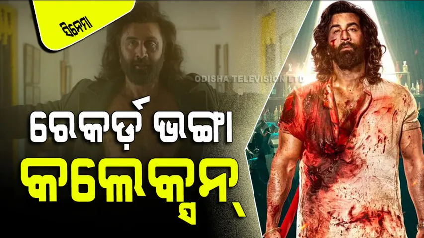 Animal real worldwide collection crossed 100 crore