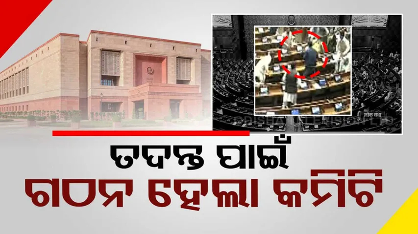 Parliament Security Breach