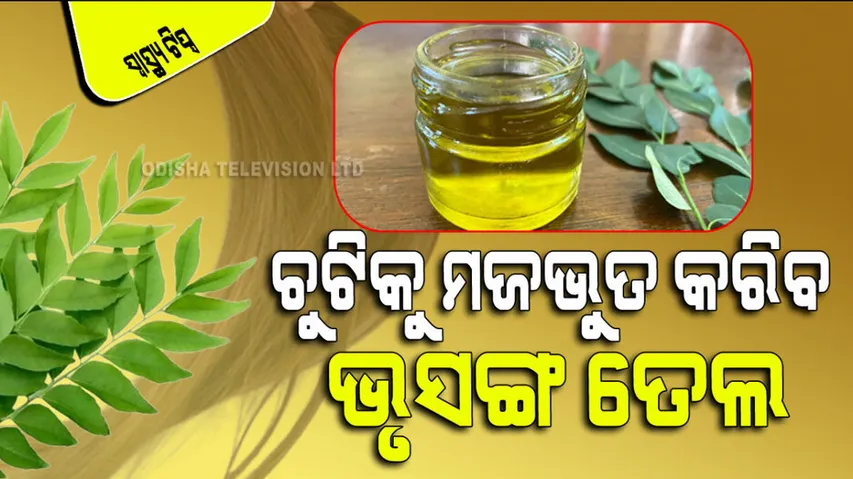 special oil made from curry leaves will make hair black long and thick