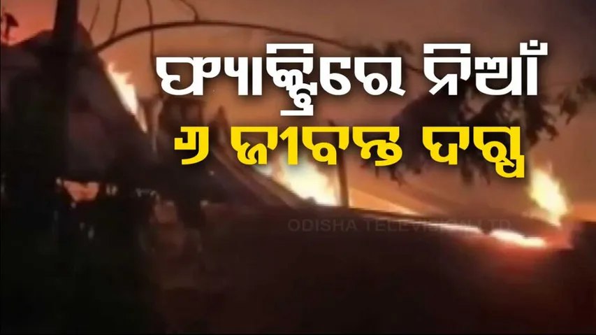 Globe Factory, Firemishap