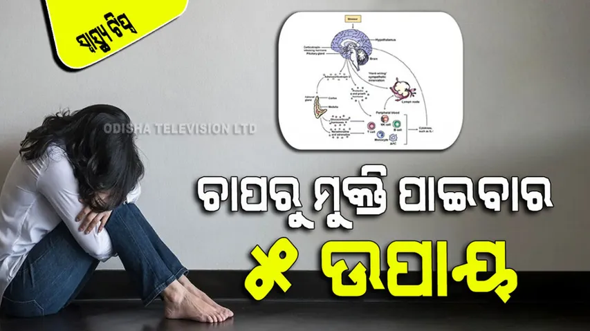 If Your Stress Hormones Increased Here Are The Signs And Treatment