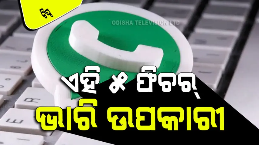 whatsapp features to improve user experience