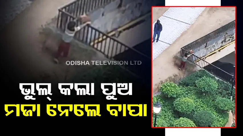 Threw a puppy from a high-rise