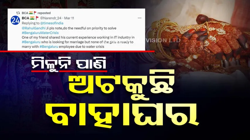 No Girl Ready To Marry Bengaluru Employee