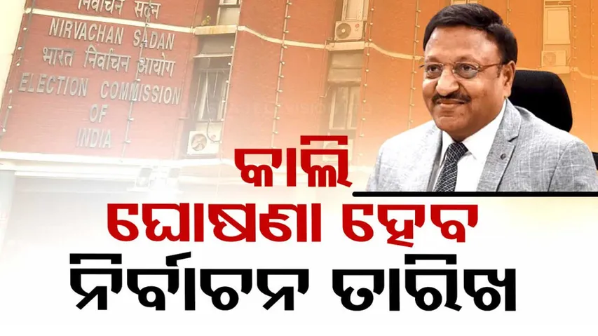 General Elections 2024 schedule Date