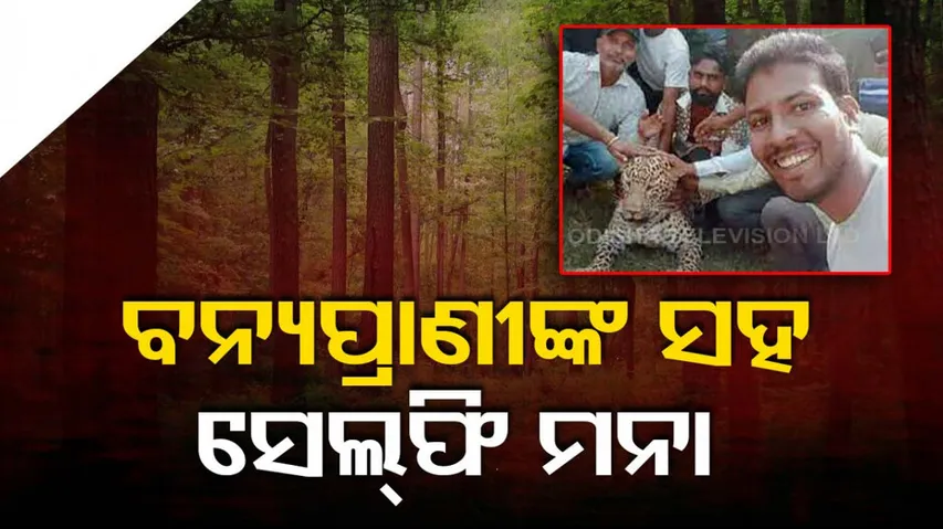 violation of wildlife act