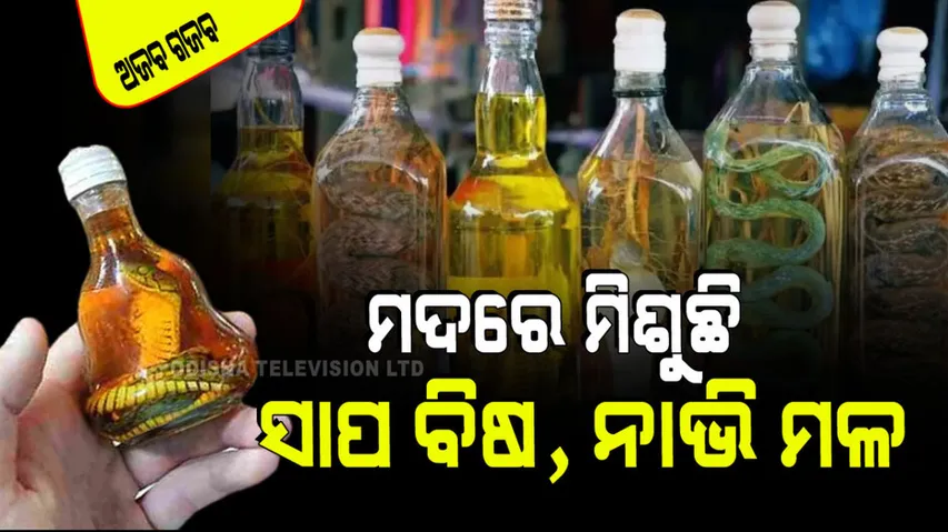 Weird drinks in the world snake wine aragog cocktail