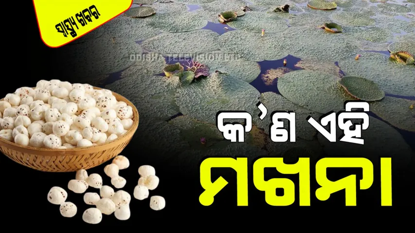 Benefits of Makhana for Blood Pressure