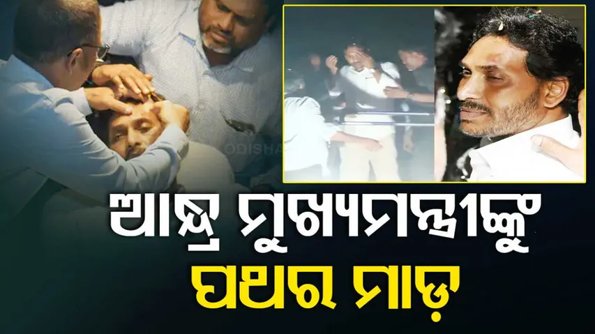 Andhra CM injured after stones thrown 