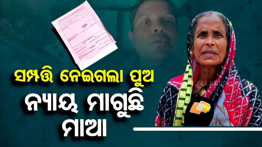 allegations against son