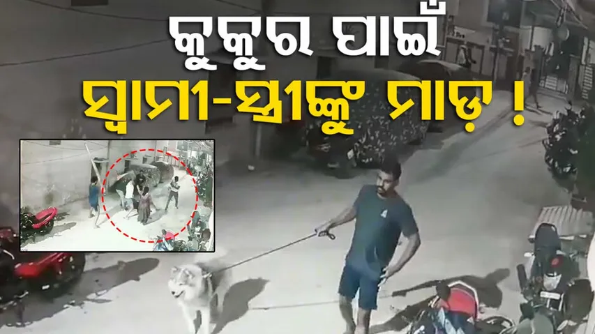 Hyderabad Dog Beaten