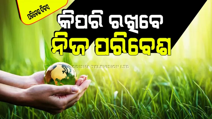 world environment day some steps to save environment