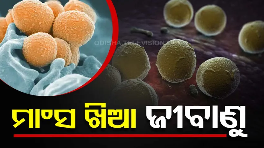 Human Killing Bacteria